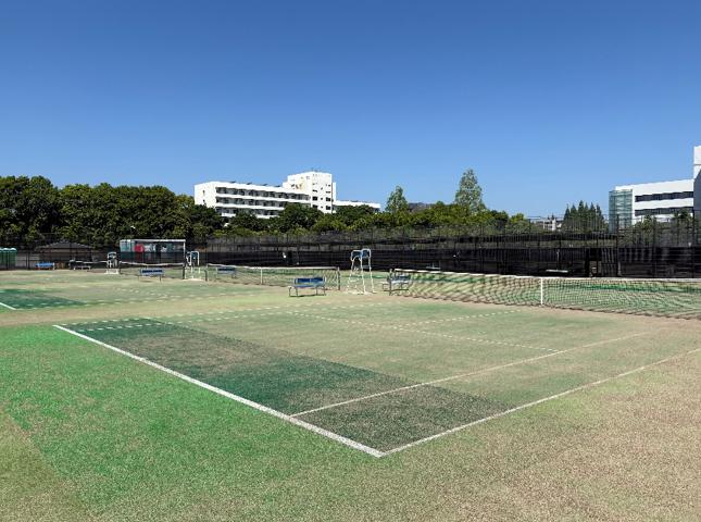 柏市テニス協会